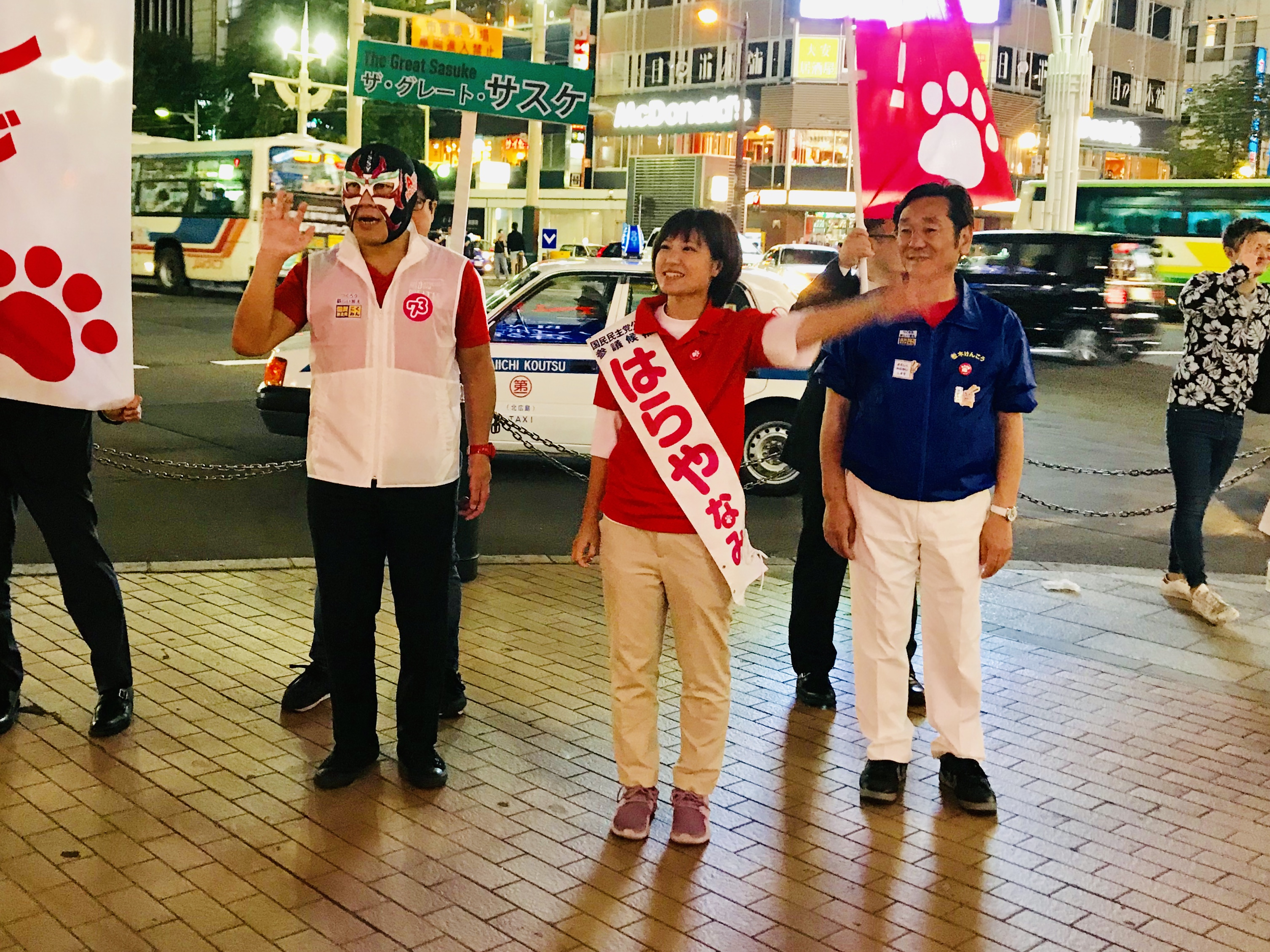 はらやなみ参議院議員候補